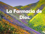 Farmacia de Dios